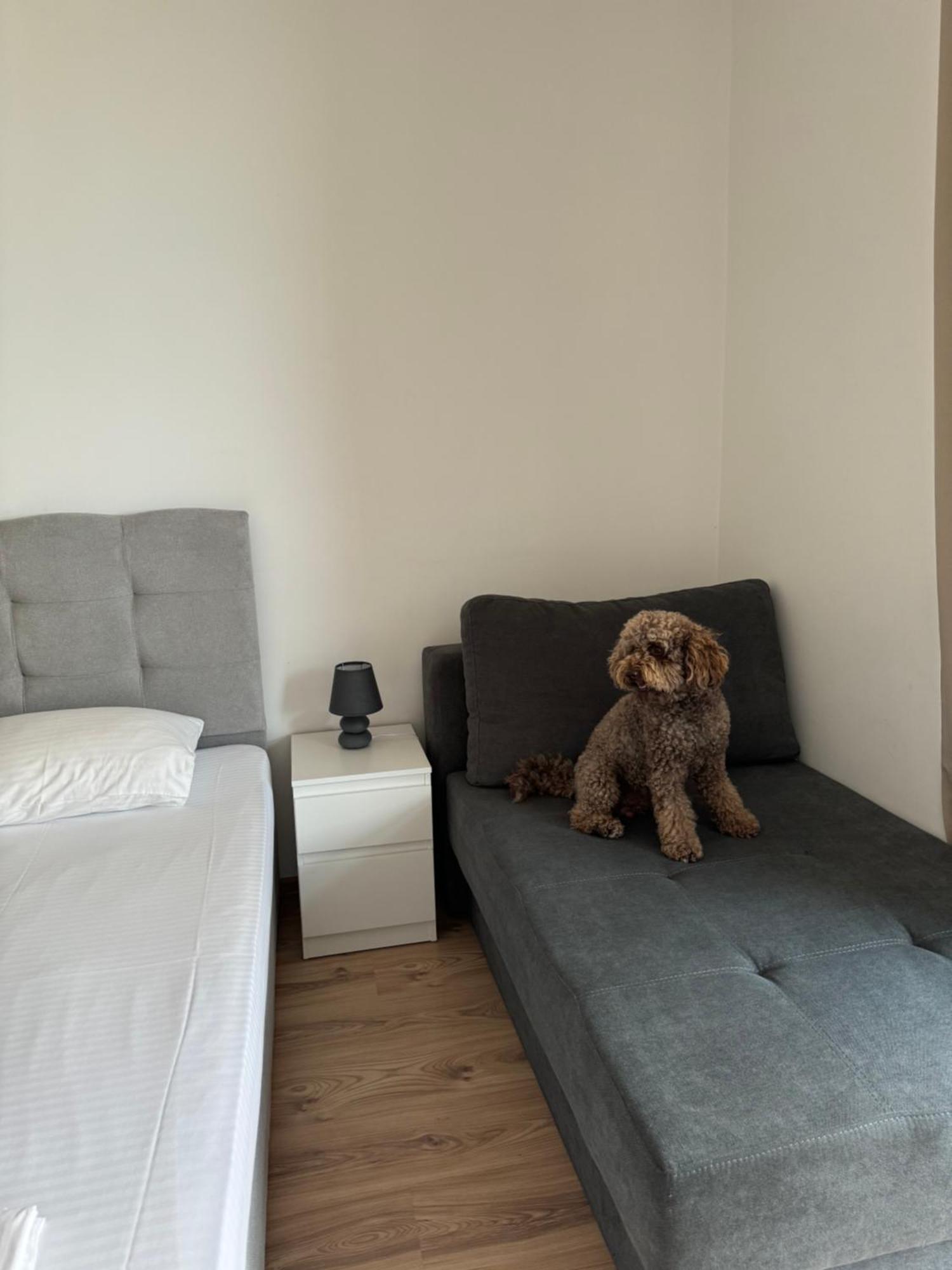 Апартаменти за гости Екатерина guest apartments Ekaterina Бургас Экстерьер фото